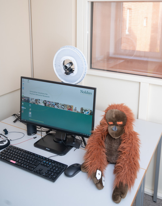 In der Kabine, in der die EEG-Studien durchgeführt werden steht ein Schreibtisch mit dem nötigen Material: Computerbildschirm, Tastatur, Kamera, Maus und einem Stoffaffen. Gegenüber diesem Arbeitsplatz ist ein Fenster, welches in den Kontrollraum führt.