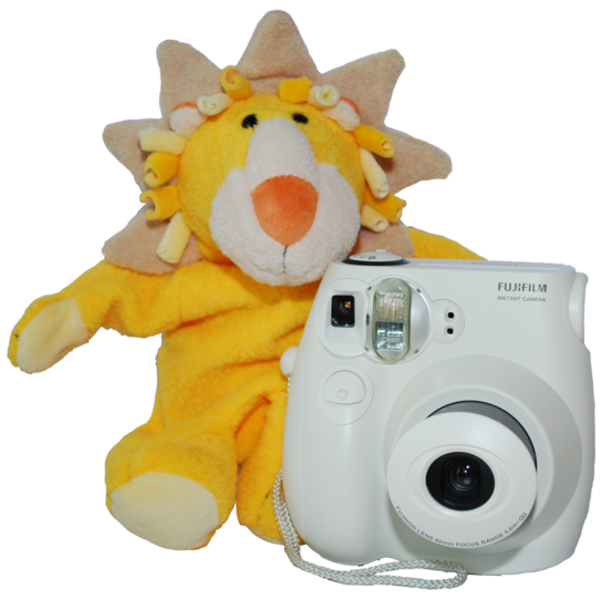 En Stofftier in Form eines gelben Löwen und eine weiße Einweg-Kamera