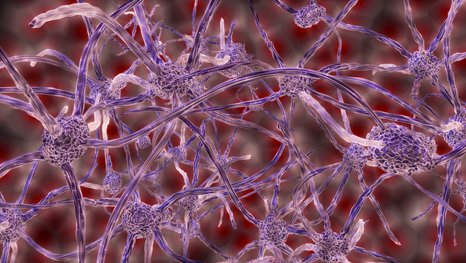 Darstellung von Nervenzellen
