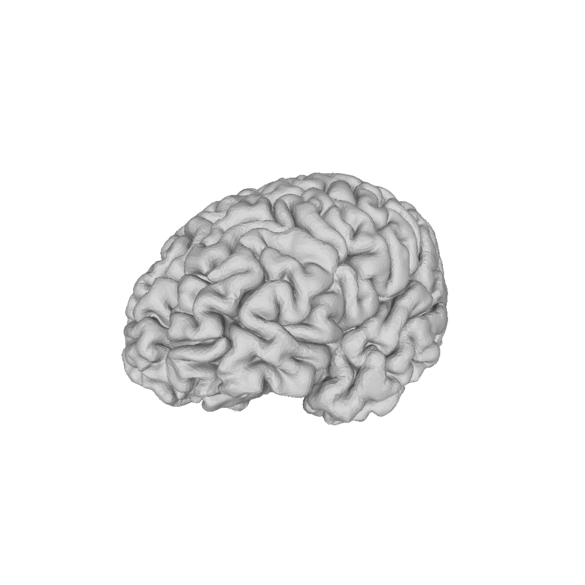 graphische Darstellung des Gehirns 